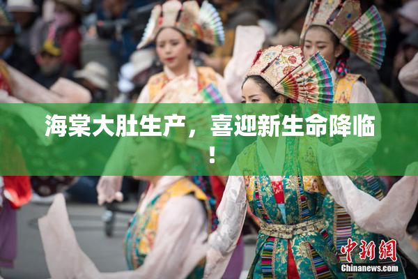 海棠大肚生产，喜迎新生命降临！