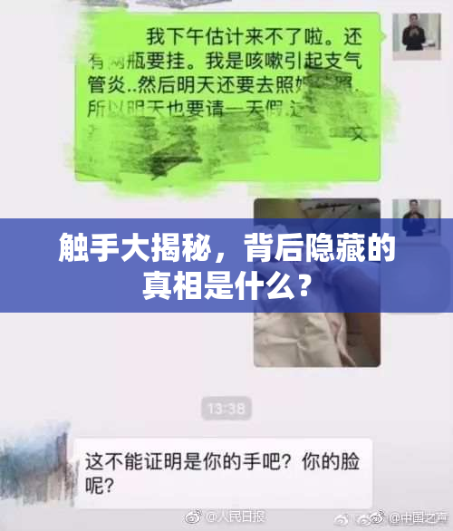 触手大揭秘，背后隐藏的真相是什么？