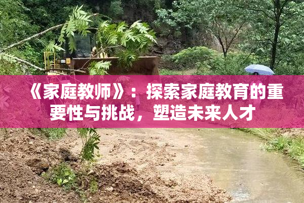 《家庭教师》：探索家庭教育的重要性与挑战，塑造未来人才