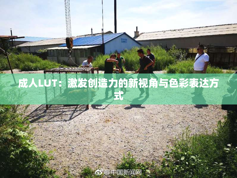 成人LUT：激发创造力的新视角与色彩表达方式