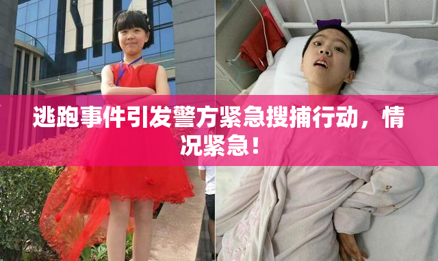 逃跑事件引发警方紧急搜捕行动，情况紧急！