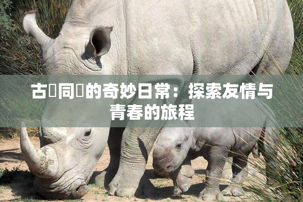 古見同學的奇妙日常：探索友情与青春的旅程