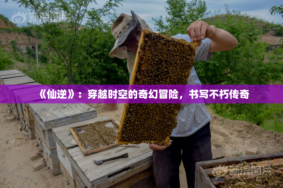 《仙逆》：穿越时空的奇幻冒险，书写不朽传奇