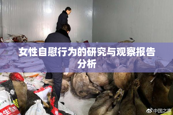 女性自慰行为的研究与观察报告分析