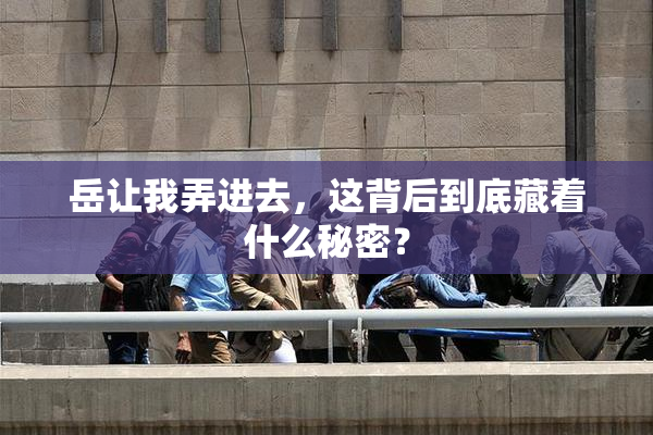 岳让我弄进去，这背后到底藏着什么秘密？