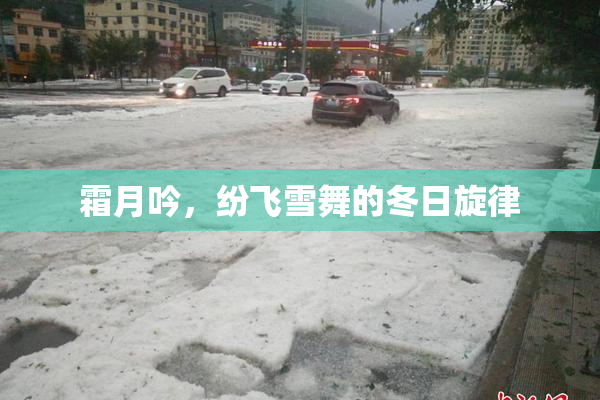 霜月吟，纷飞雪舞的冬日旋律