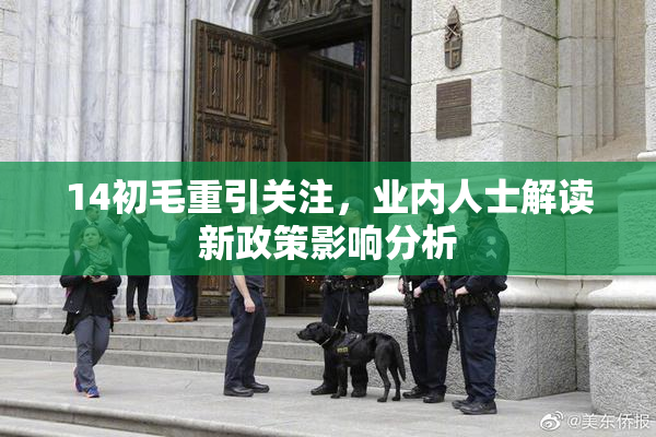 14初毛重引关注，业内人士解读新政策影响分析