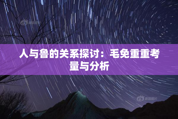 人与鲁的关系探讨：毛免重重考量与分析