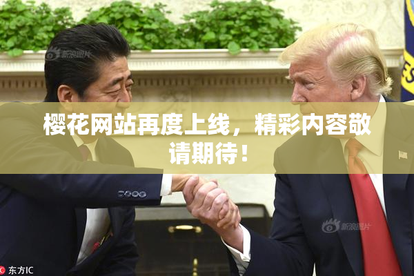 樱花网站再度上线，精彩内容敬请期待！