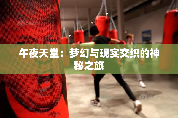 午夜天堂：梦幻与现实交织的神秘之旅