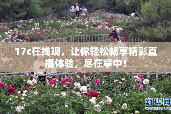 17c在线观，让你轻松畅享精彩直播体验，尽在掌中！