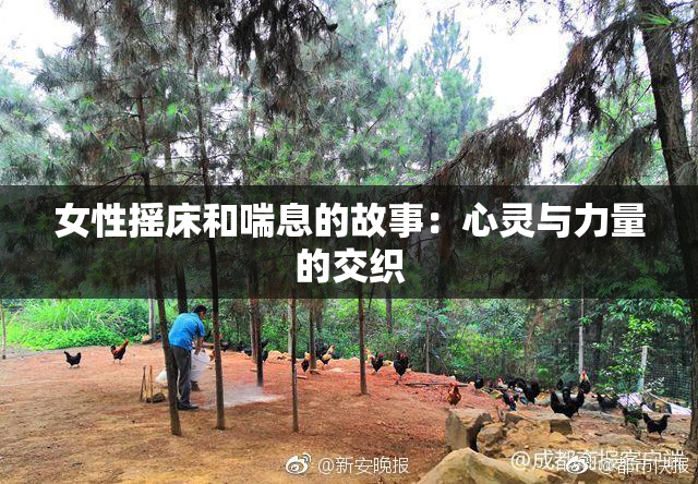 女性摇床和喘息的故事：心灵与力量的交织