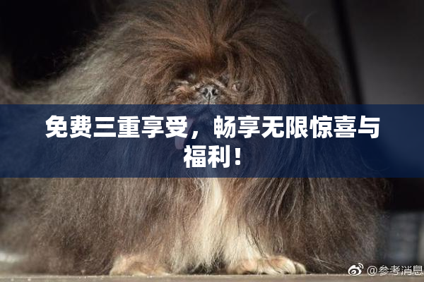 免费三重享受，畅享无限惊喜与福利！