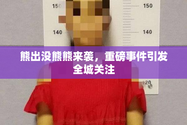 熊出没熊熊来袭，重磅事件引发全城关注