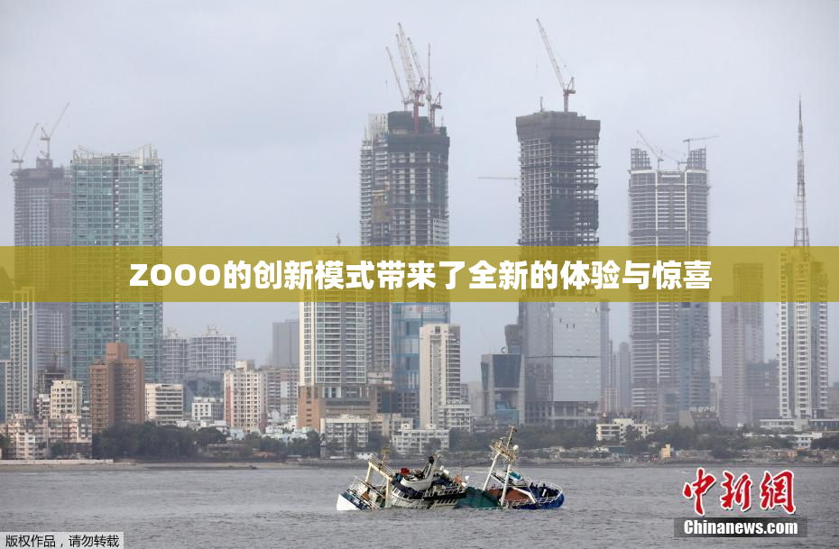 ZOOO的创新模式带来了全新的体验与惊喜