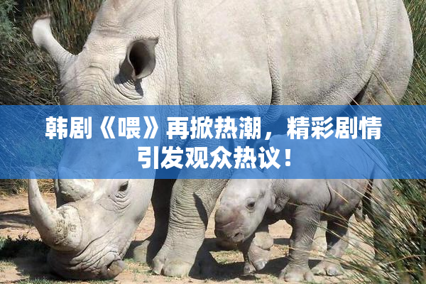 韩剧《喂》再掀热潮，精彩剧情引发观众热议！
