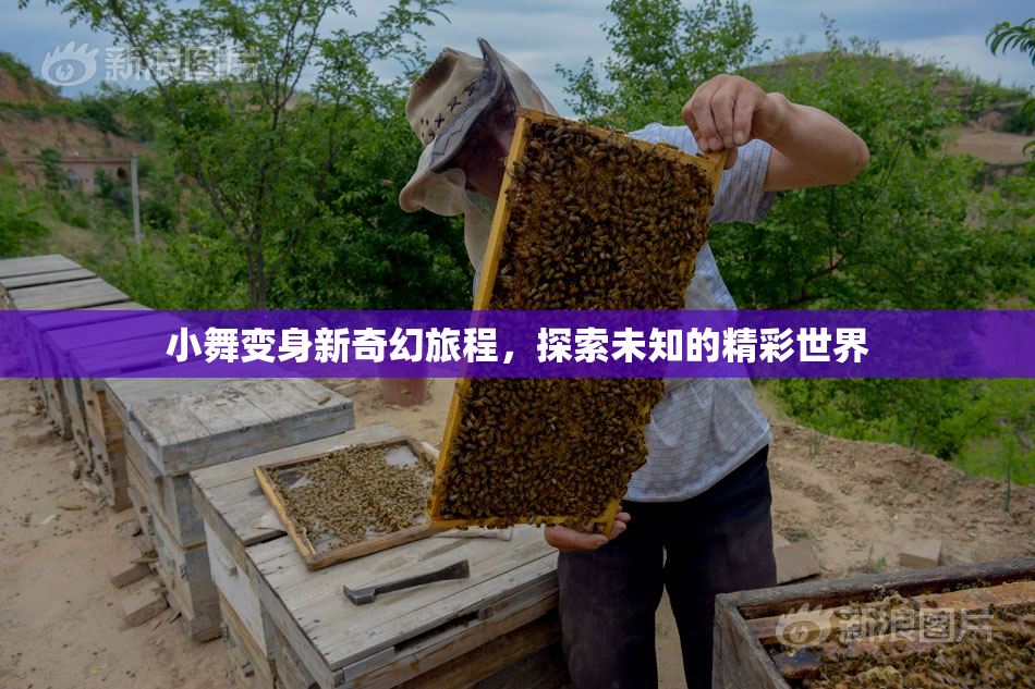 小舞变身新奇幻旅程，探索未知的精彩世界