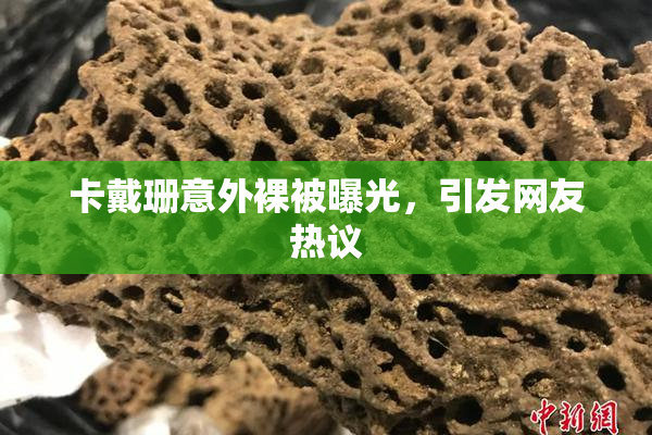 卡戴珊意外裸被曝光，引发网友热议
