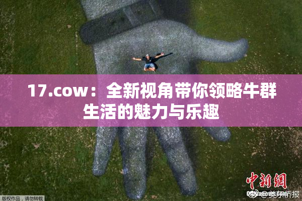 17.cow：全新视角带你领略牛群生活的魅力与乐趣