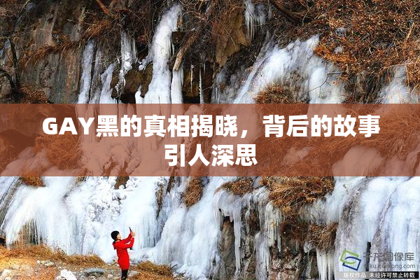 GAY黑的真相揭晓，背后的故事引人深思