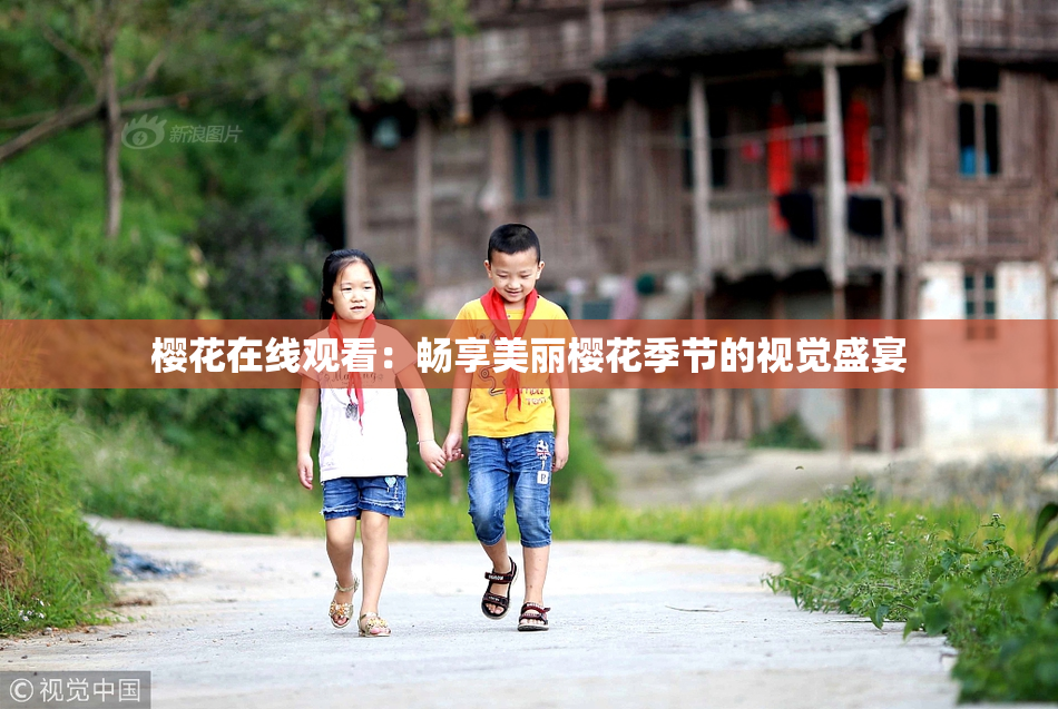 樱花在线观看：畅享美丽樱花季节的视觉盛宴