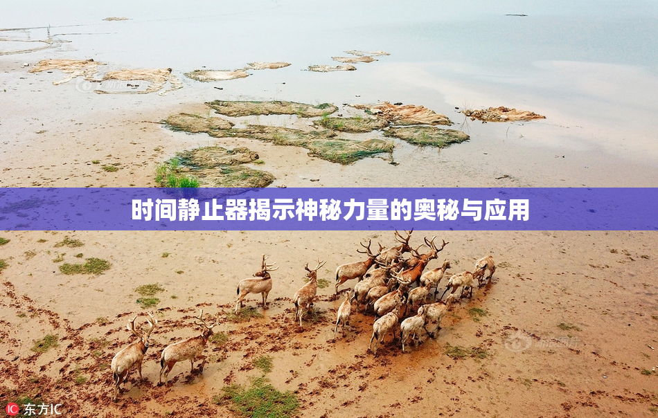 时间静止器揭示神秘力量的奥秘与应用