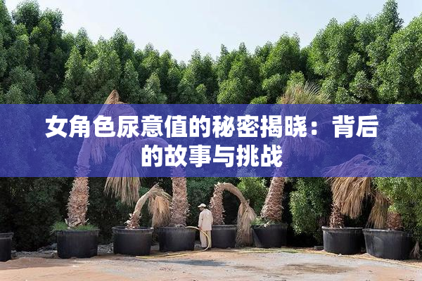 女角色尿意值的秘密揭晓：背后的故事与挑战