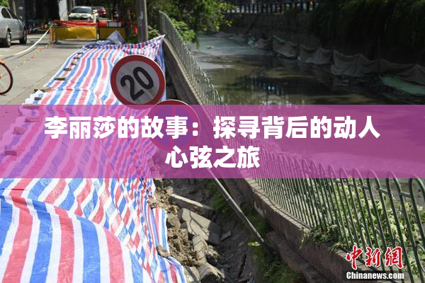 李丽莎的故事：探寻背后的动人心弦之旅