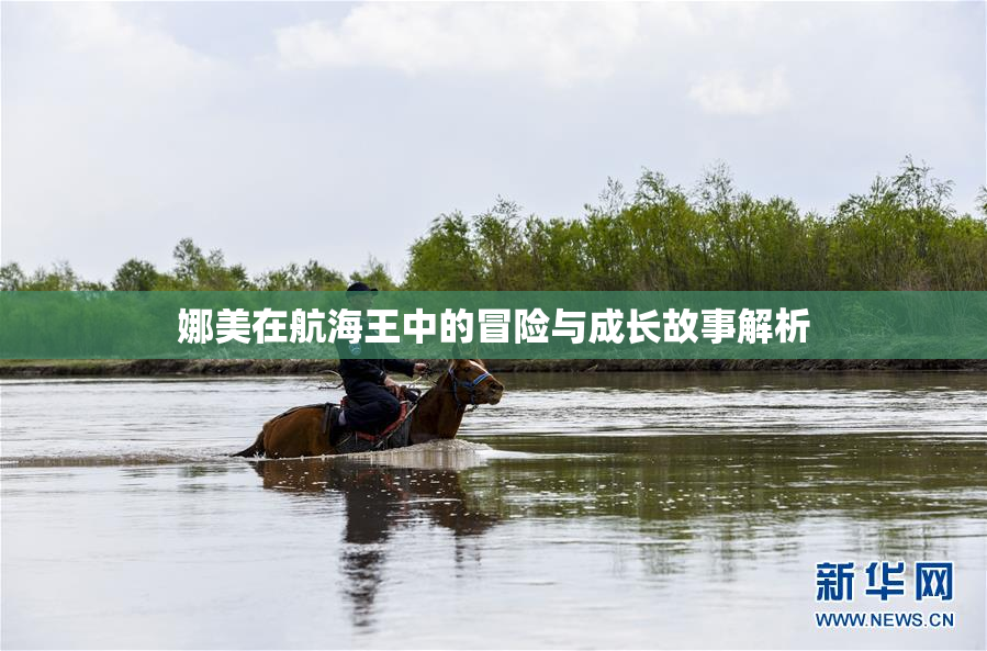 娜美在航海王中的冒险与成长故事解析