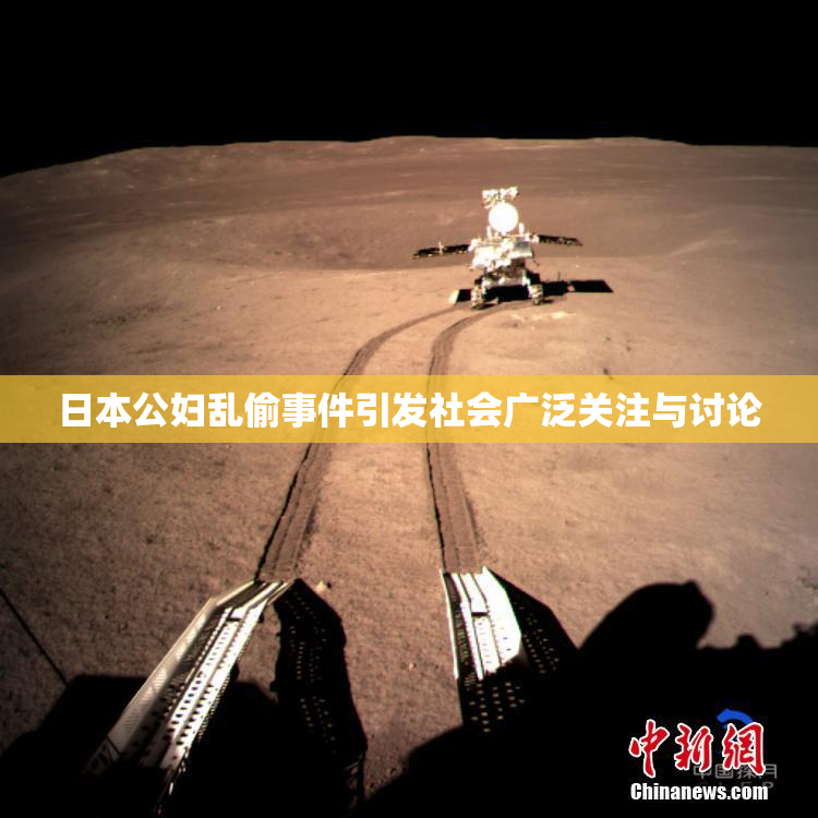 日本公妇乱偷事件引发社会广泛关注与讨论