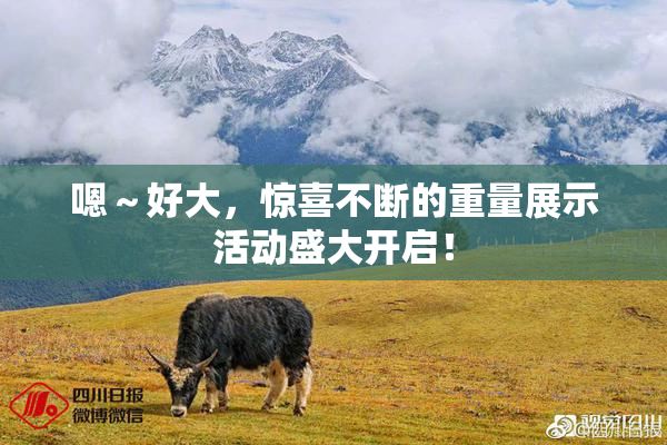 嗯～好大，惊喜不断的重量展示活动盛大开启！