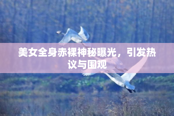 美女全身赤裸神秘曝光，引发热议与围观