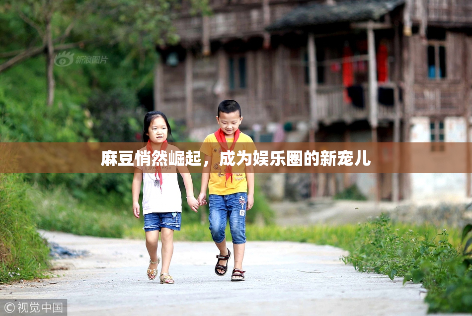 麻豆悄然崛起，成为娱乐圈的新宠儿
