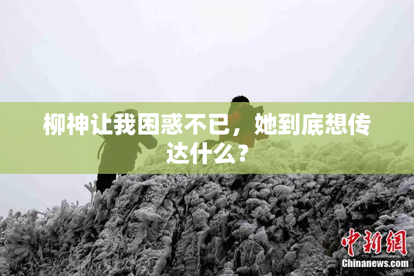 柳神让我困惑不已，她到底想传达什么？