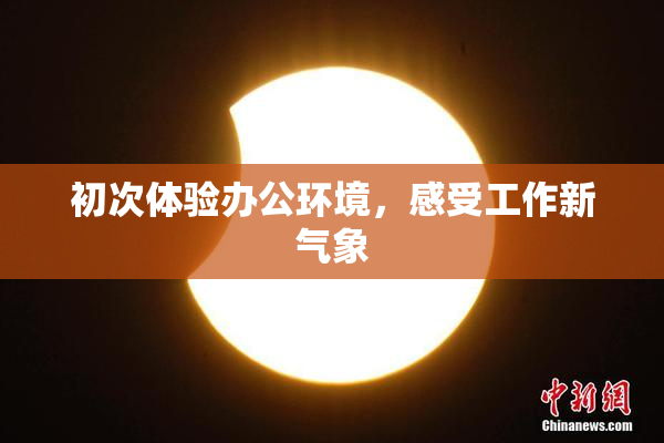 初次体验办公环境，感受工作新气象