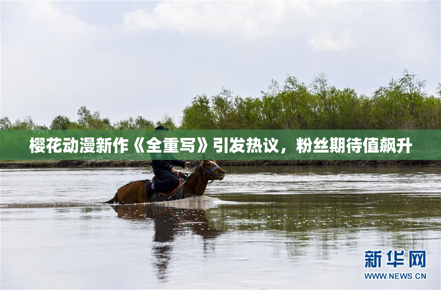 樱花动漫新作《全重写》引发热议，粉丝期待值飙升