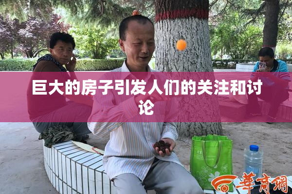 巨大的房子引发人们的关注和讨论
