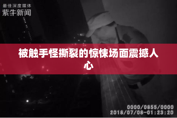 被触手怪撕裂的惊悚场面震撼人心