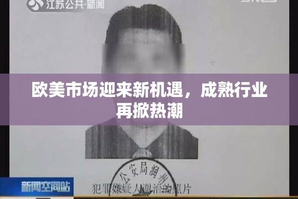 欧美市场迎来新机遇，成熟行业再掀热潮
