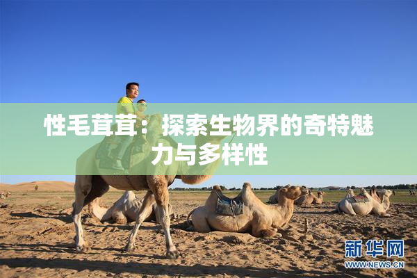 性毛茸茸：探索生物界的奇特魅力与多样性