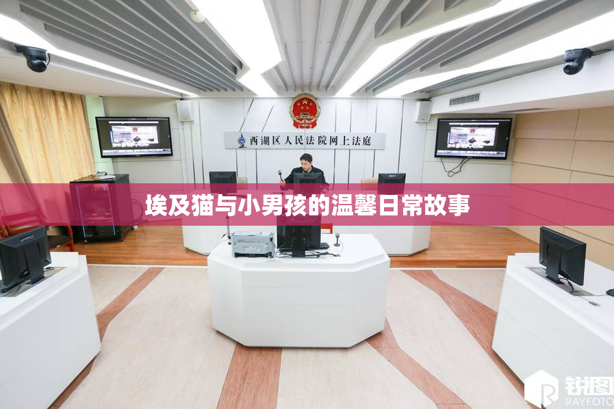 埃及猫与小男孩的温馨日常故事