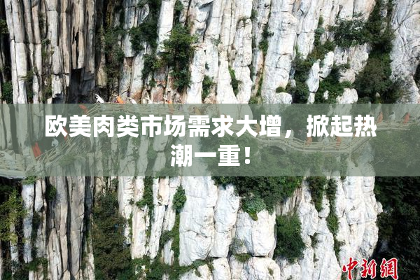 欧美肉类市场需求大增，掀起热潮一重！