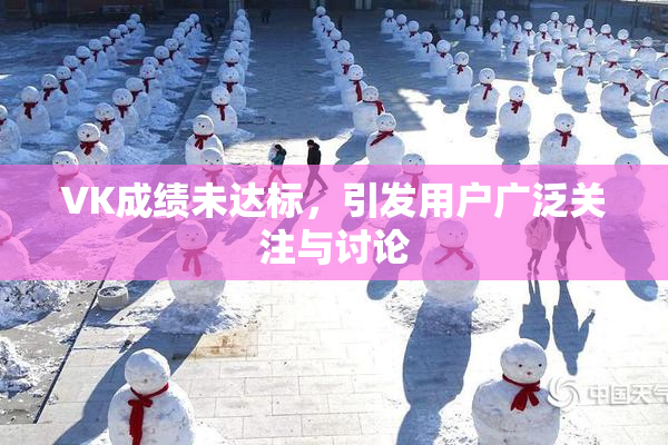 VK成绩未达标，引发用户广泛关注与讨论