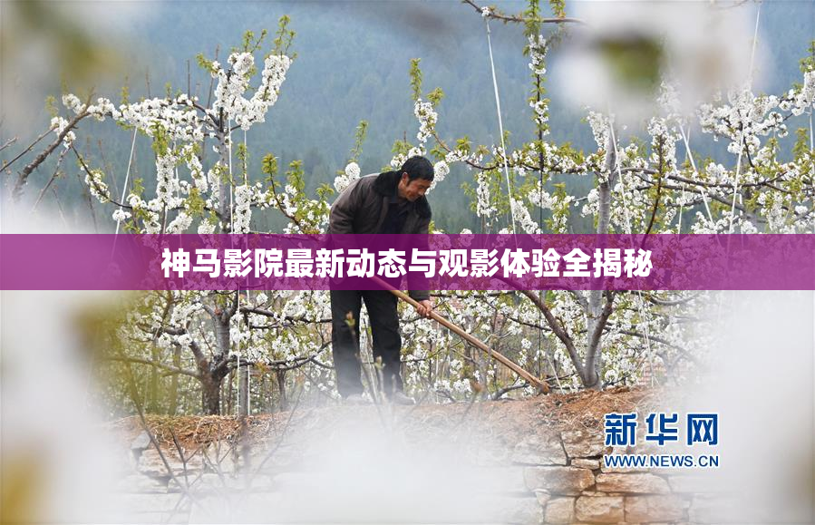 神马影院最新动态与观影体验全揭秘