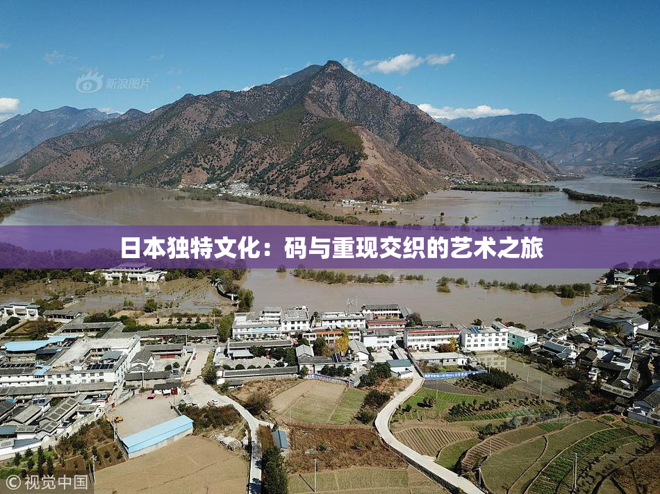 日本独特文化：码与重现交织的艺术之旅