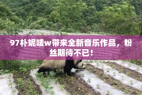 97朴妮唛w带来全新音乐作品，粉丝期待不已！