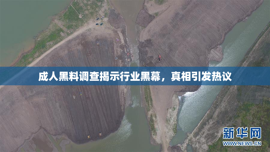 成人黑料调查揭示行业黑幕，真相引发热议