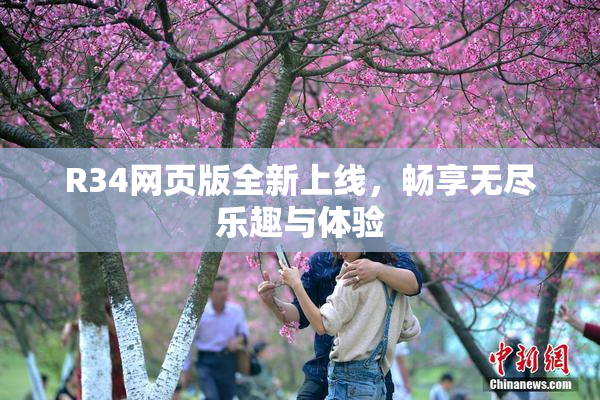 R34网页版全新上线，畅享无尽乐趣与体验