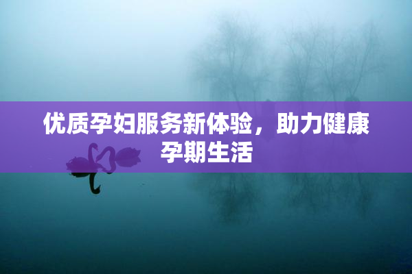 优质孕妇服务新体验，助力健康孕期生活