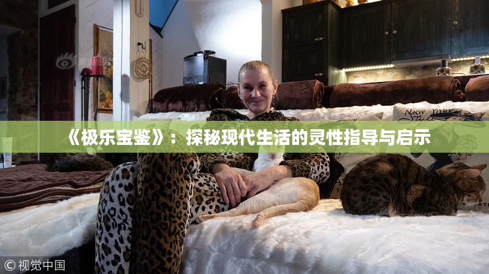 《极乐宝鉴》：探秘现代生活的灵性指导与启示